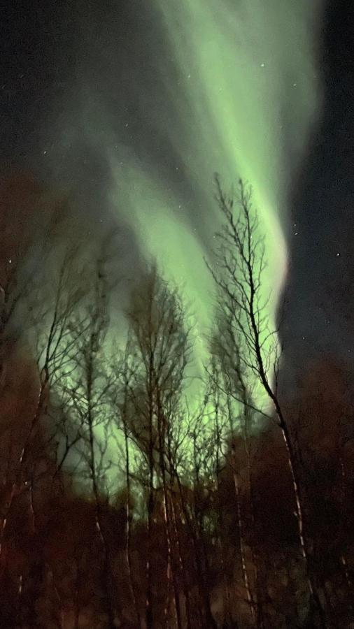 Stor Hytte I Olderfjord Villa Russenes ภายนอก รูปภาพ